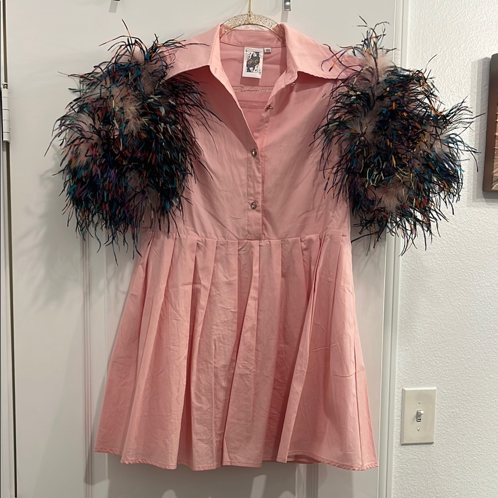 Queen of Sparkles Feather Sleeve Dress